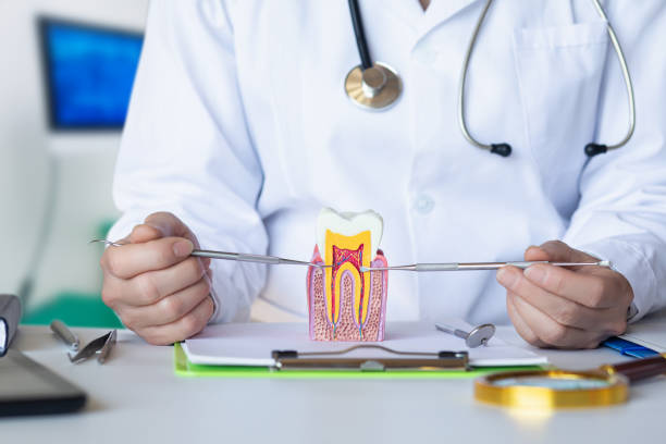Best Tooth Infection Emergency Dentist  in New Deal, TX